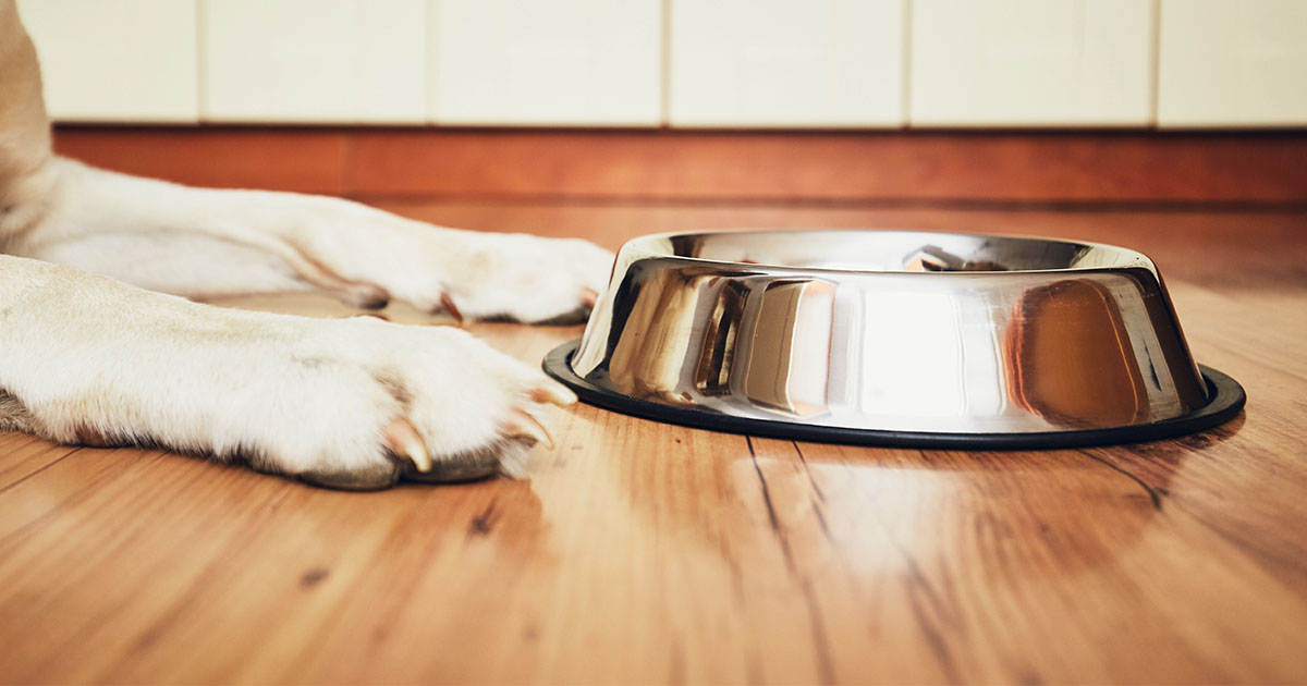 Is Dog Food Regulated