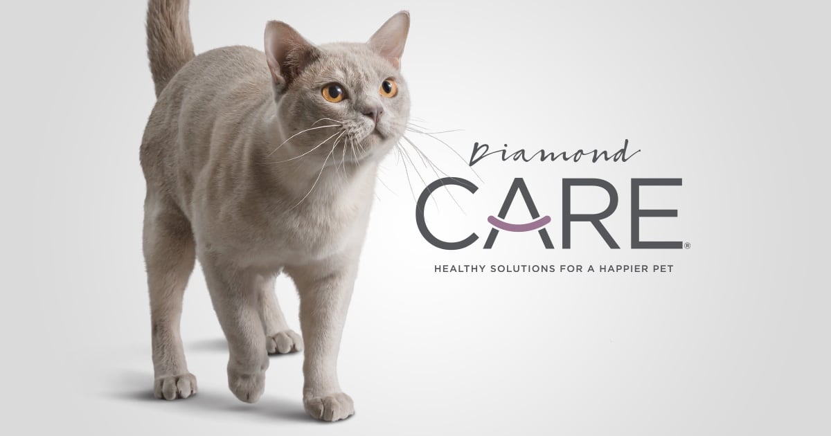 Diamond care weight shop management cat food