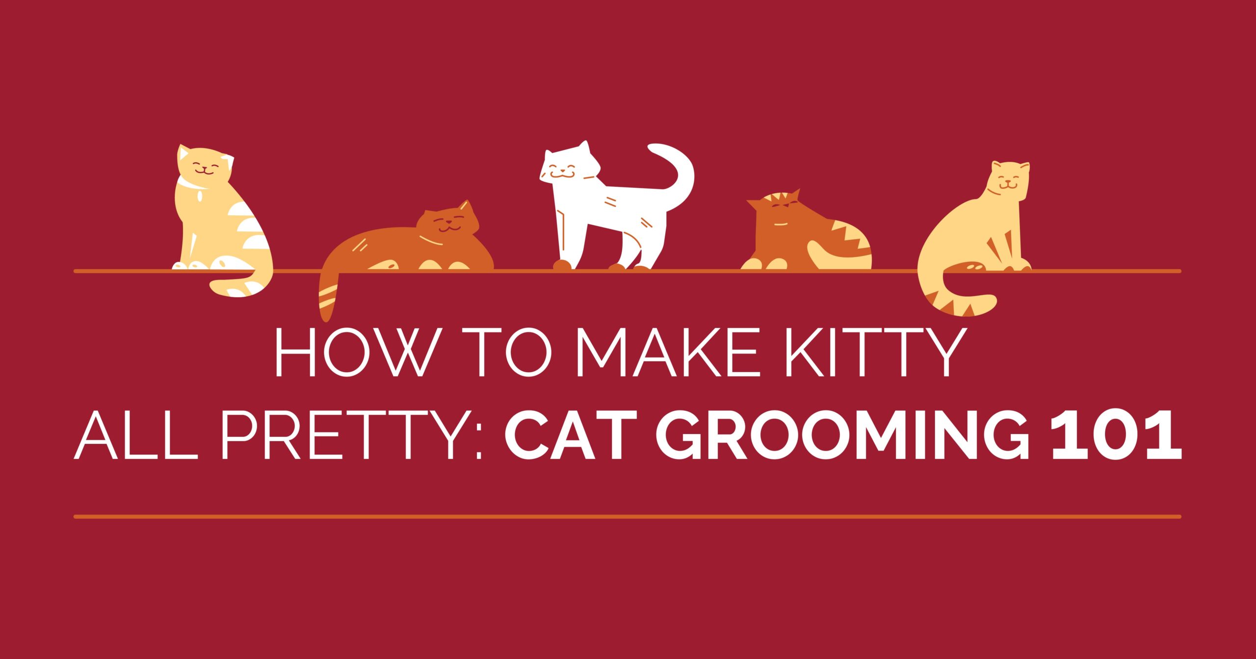 Cat grooming hot sale 101